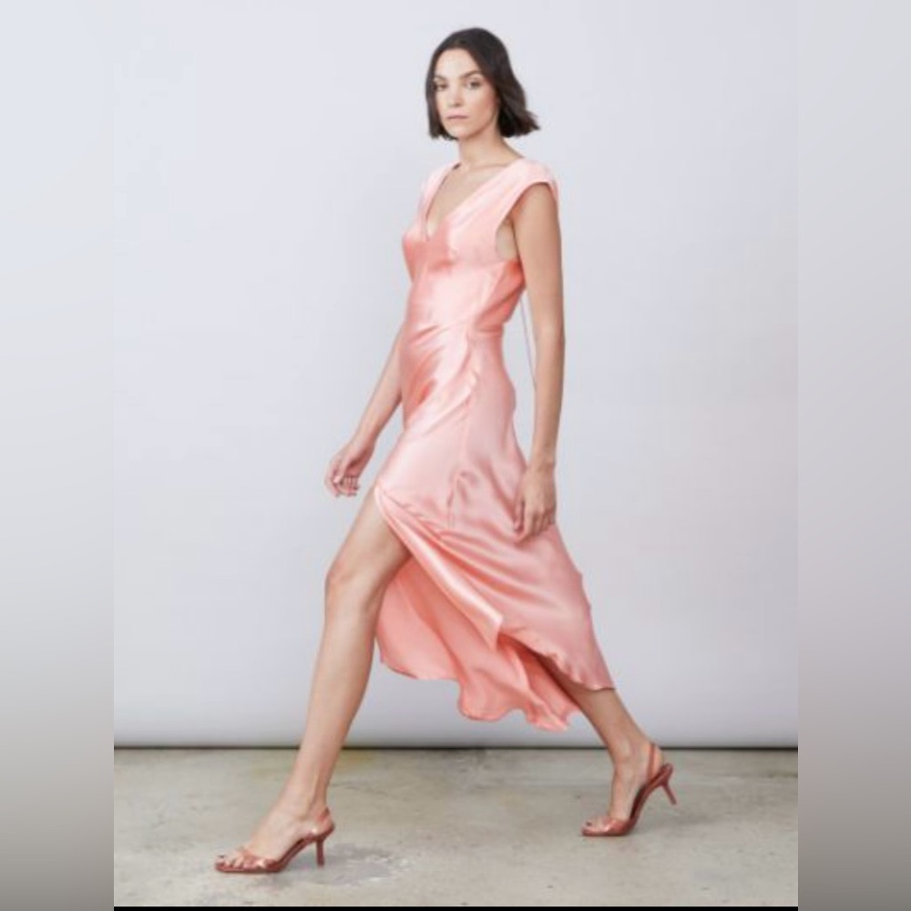 NWT Allen Schwartz Silk Dress